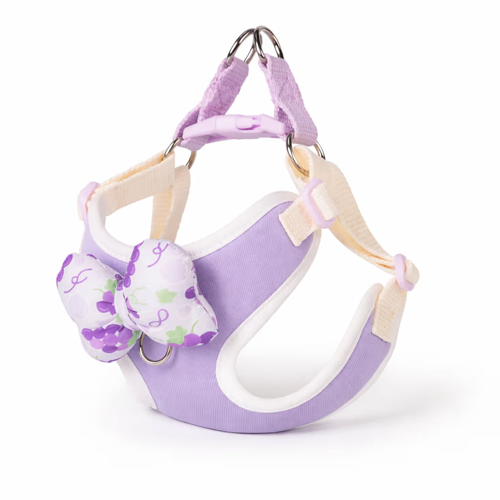 Purple bow harness with adjustable straps and padded trim for small dogs