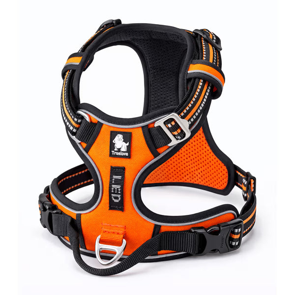 Orange padded harness with adjustable straps and front D-ring for small dogs