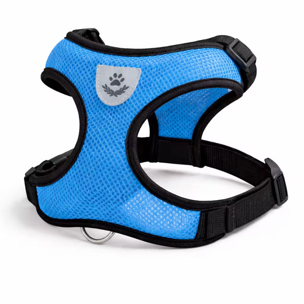 Blue mesh vest harness with adjustable straps for small dogs