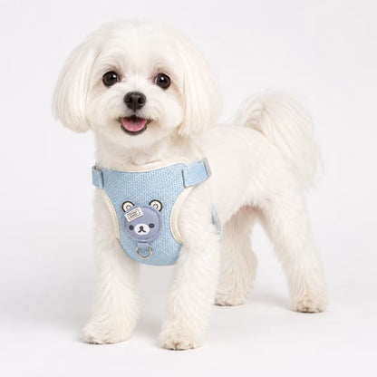 Maltese wearing the CozyBear Harness in light blue with a bear face detail on the chest panel and a front D-ring.
