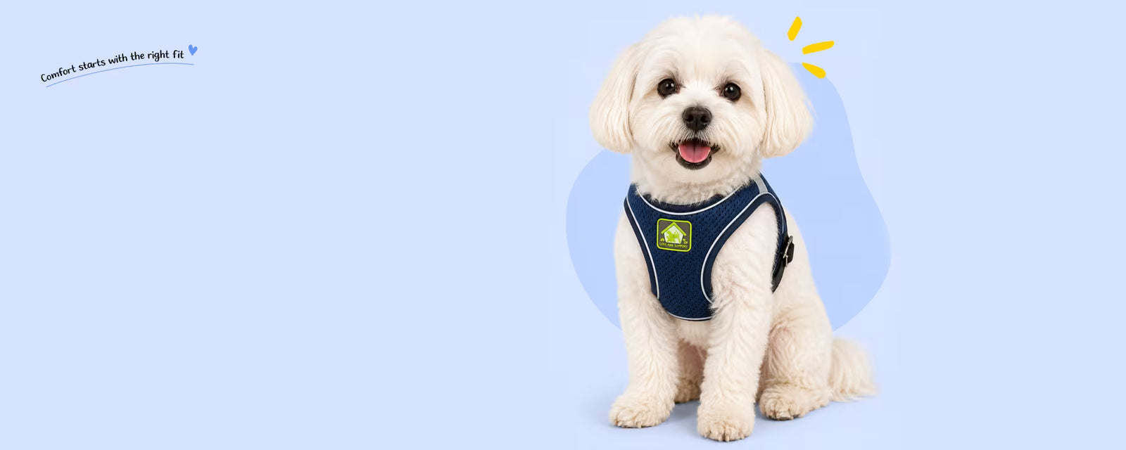 Maltese sitting and wearing a navy blue mesh harness for small dogs on a light blue background