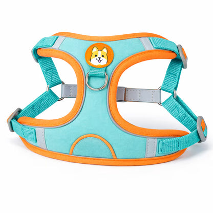 Cyan padded harness with adjustable straps and back D-ring for small dogs