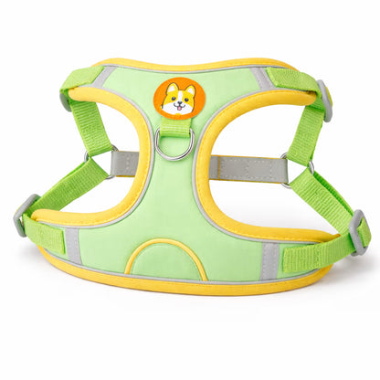 Green padded harness with adjustable straps and back D-ring for small dogs