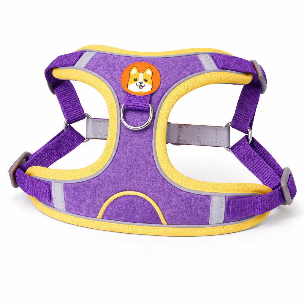 Purple padded harness with adjustable straps and back D-ring for small dogs