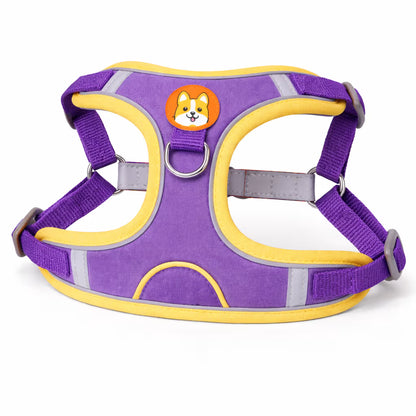 Purple padded harness with adjustable straps and back D-ring for small dogs