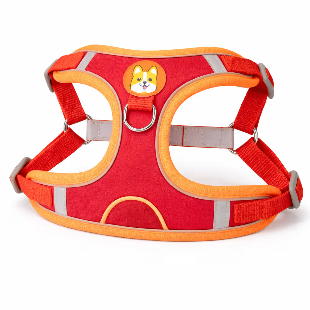Red padded harness with adjustable straps and back D-ring for small dogs