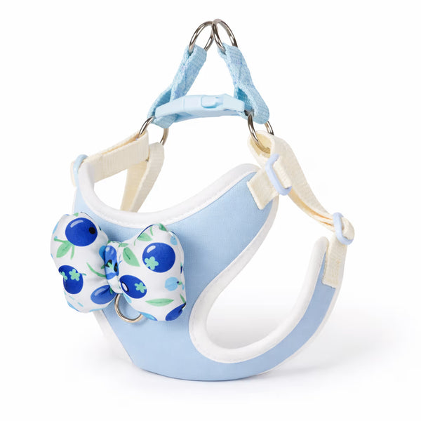 Blue bow harness with adjustable straps and padded trim for small dogs