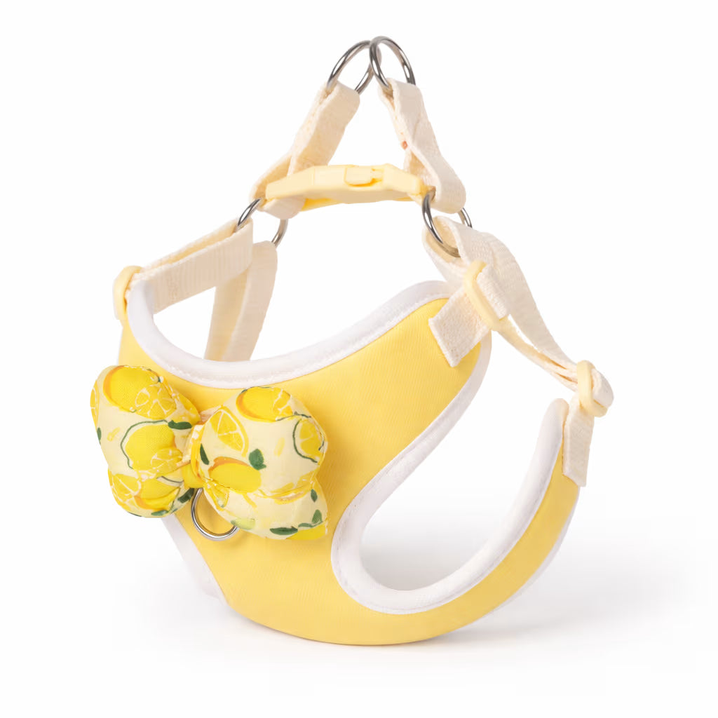 Yellow bow harness with adjustable straps and padded trim for small dogs