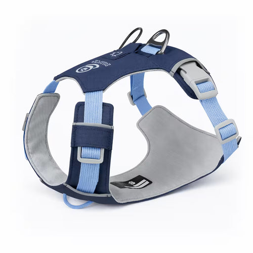 Blue padded harness with dual back rings and adjustable straps for small dogs