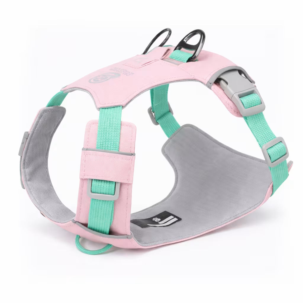 Pink padded harness with dual back rings and adjustable straps for small dogs