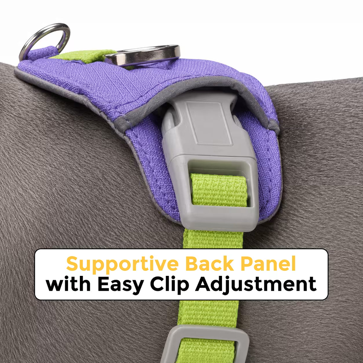 ComfortGuard Harness in purple and green close-up showing supportive back panel with easy clip adjustment
