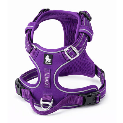 Purple padded harness with adjustable straps and front D-ring for small dogs
