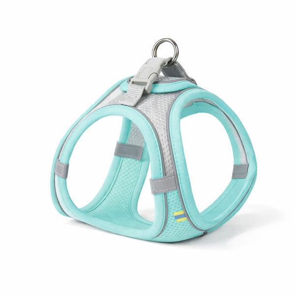 Blue mesh vest harness with reflective trim and top ring for small dogs