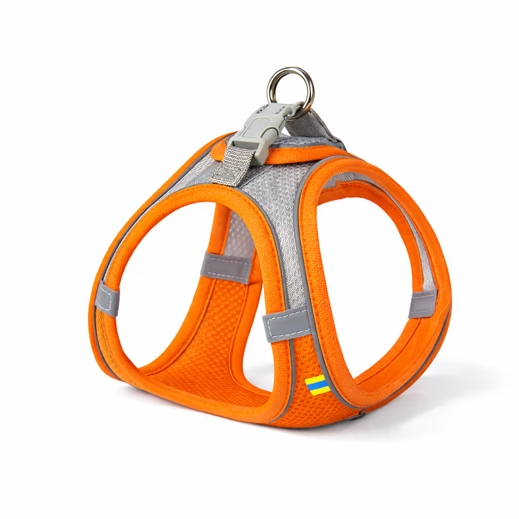 Orange mesh vest harness with reflective trim and top ring for small dogs