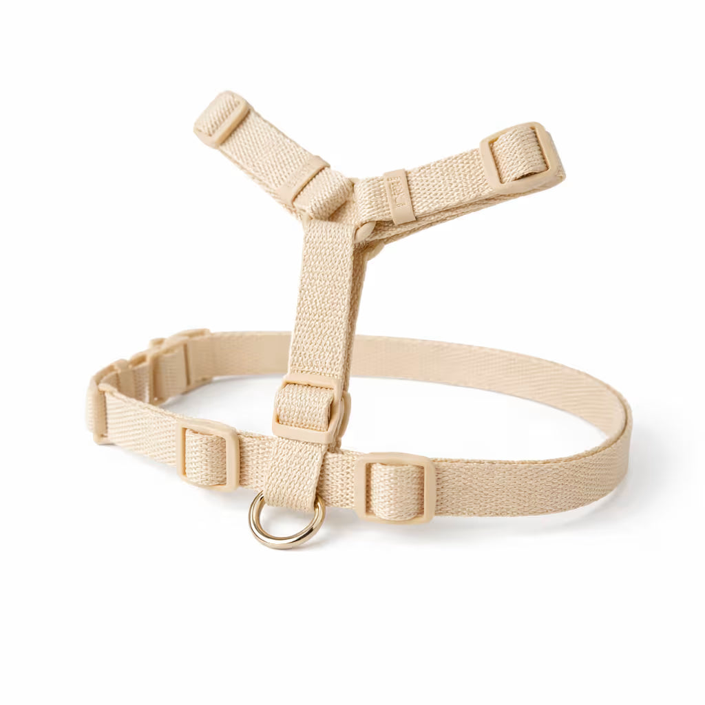Beige strap harness with adjustable fit and front D-ring for small dogs