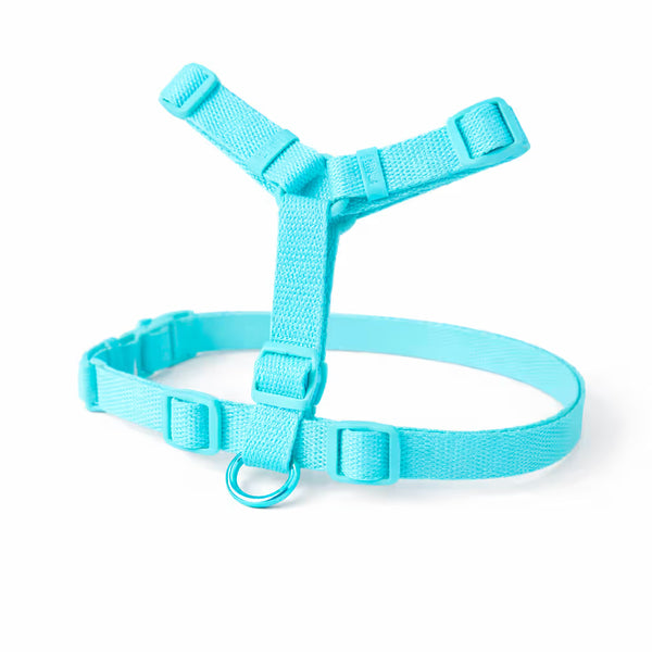 Blue strap harness with adjustable fit and front D-ring for small dogs