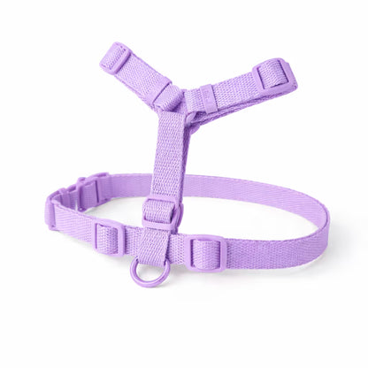 Purple strap harness with adjustable fit and front D-ring for small dogs