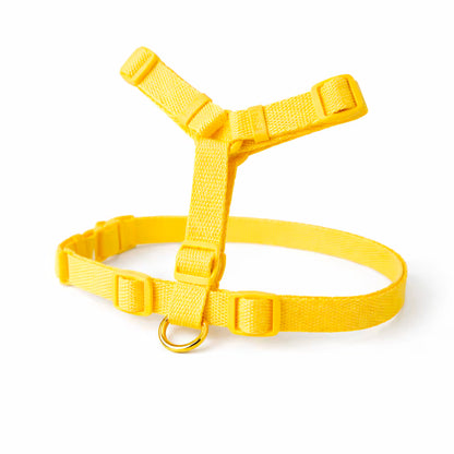 Yellow strap harness with adjustable fit and front D-ring for small dogs