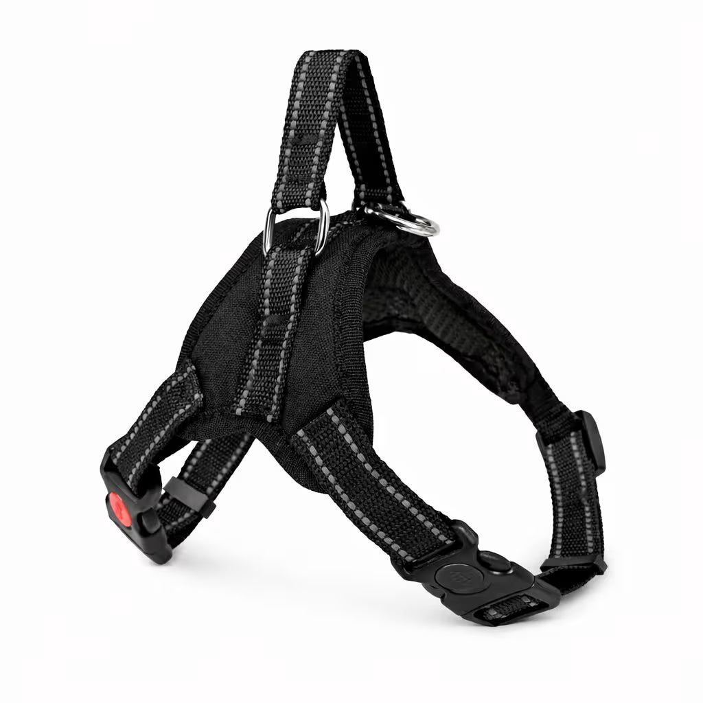 Black strap harness with padded chest panel and top handle for small dogs