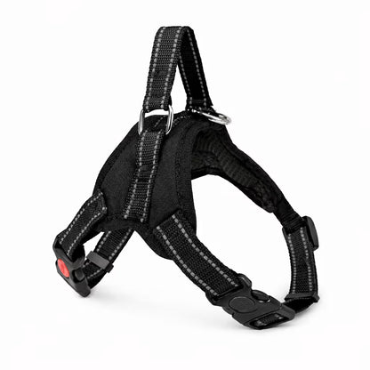 Black strap harness with padded chest panel and top handle for small dogs