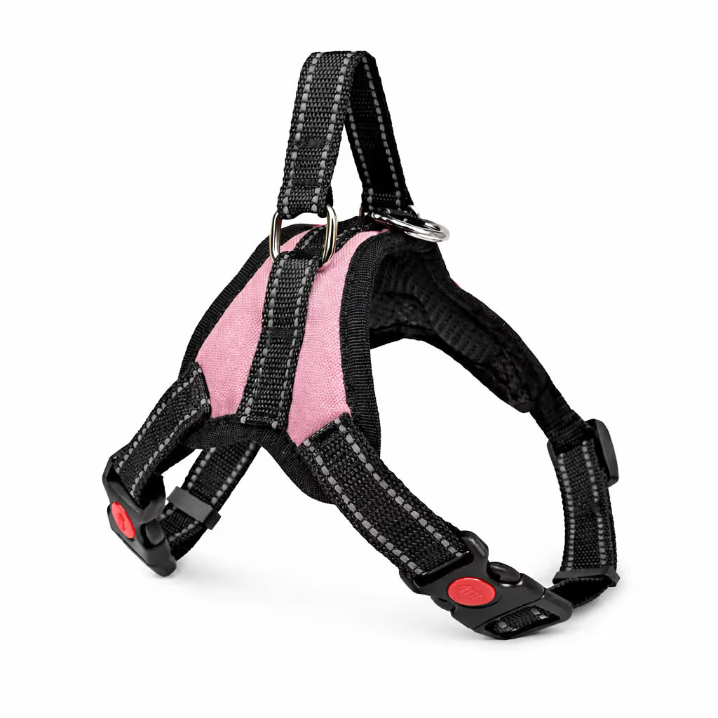 Pink strap harness with padded chest panel and top handle for small dogs