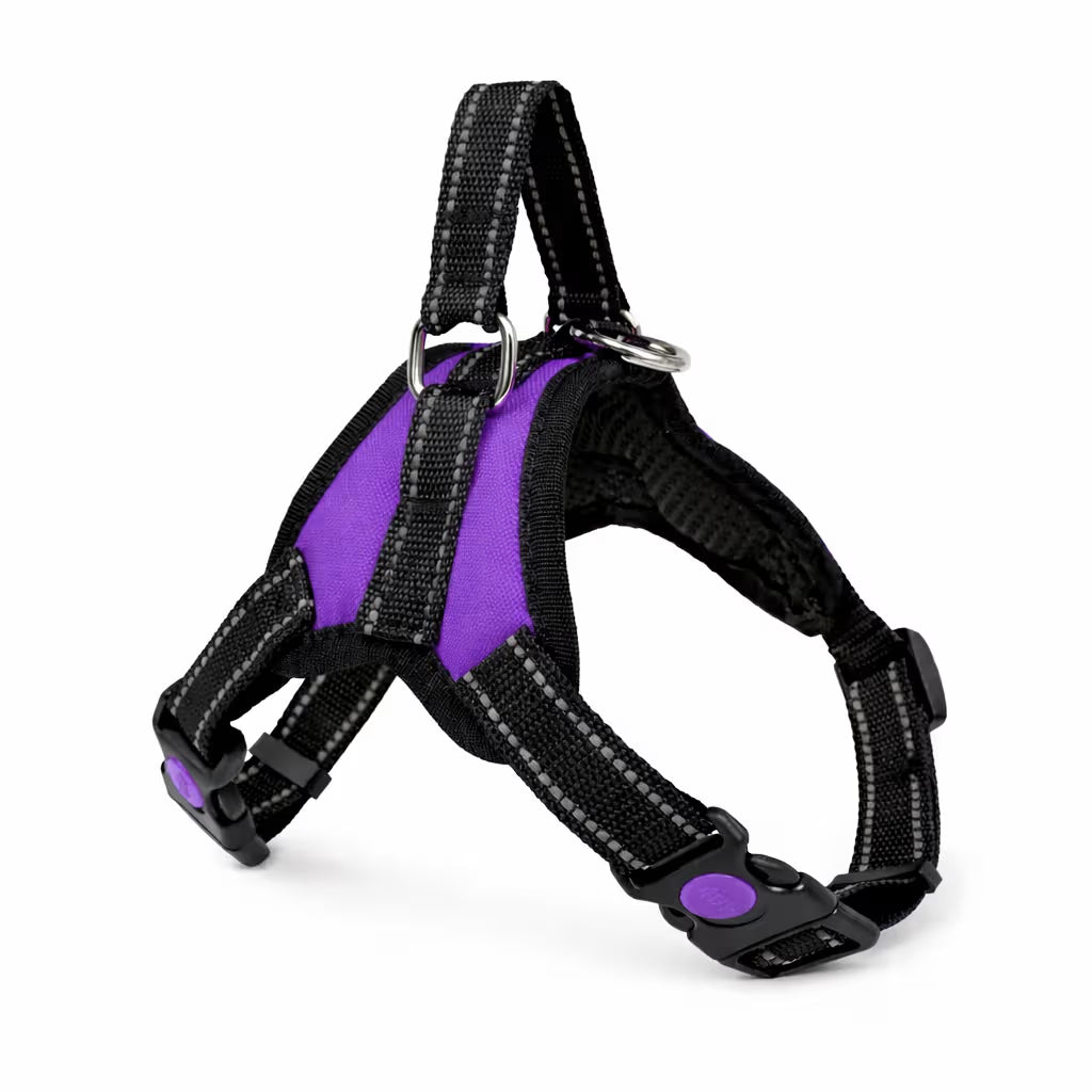 Purple strap harness with padded chest panel and top handle for small dogs