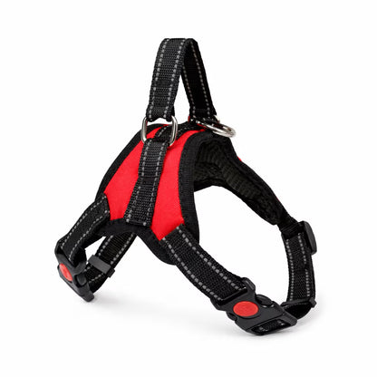 Red strap harness with padded chest panel and top handle for small dogs
