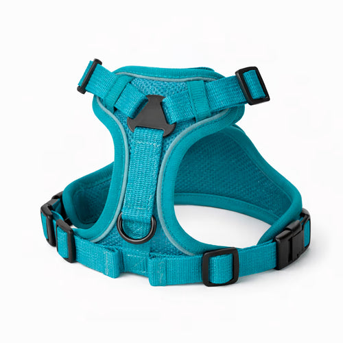 Blue mesh harness with adjustable straps and front D-ring for small dogs