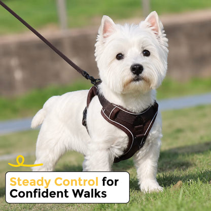 West Highland White Terrier standing on grass wearing a brown SecureFit harness with leash attached, offering steady control for confident walks