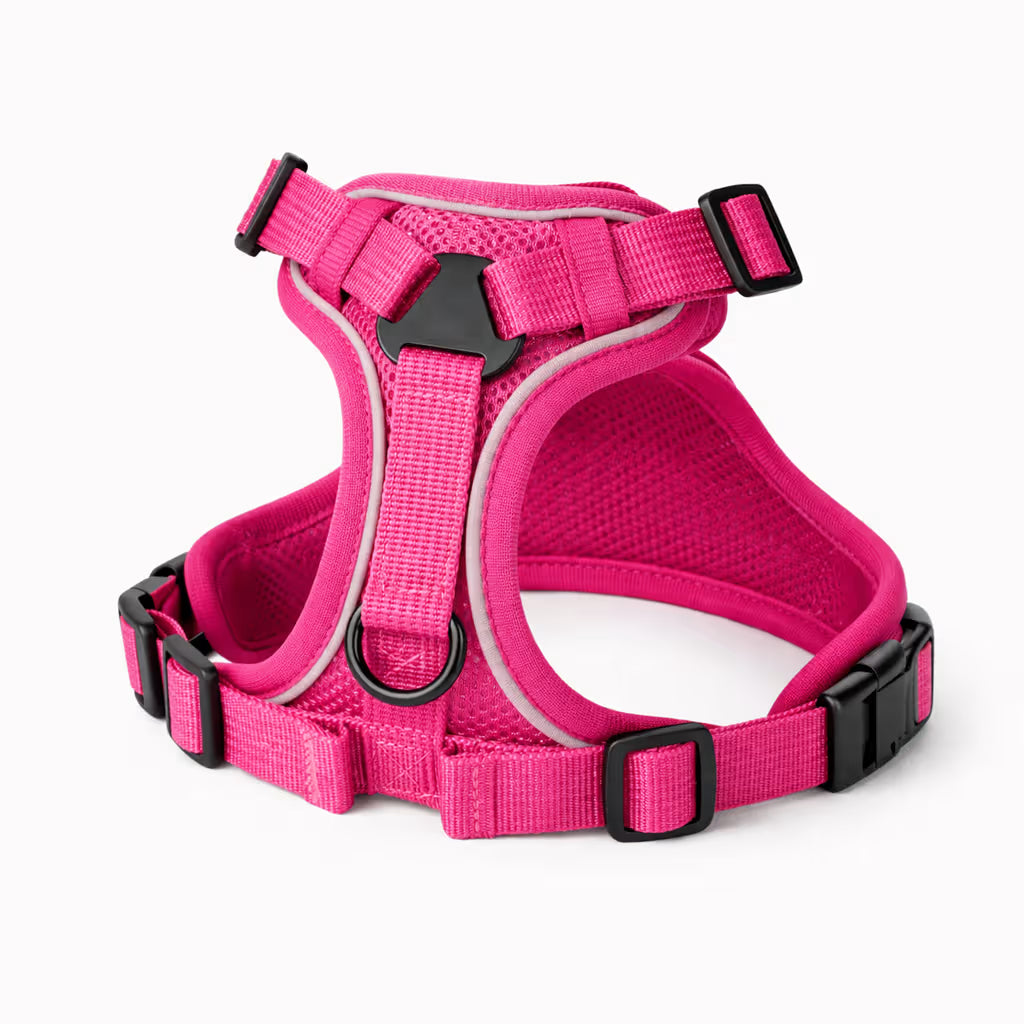 Pink mesh harness with adjustable straps and front D-ring for small dogs