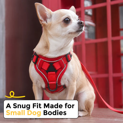 Chihuahua sitting outdoors wearing a red SecureFit harness with leash attached, showing a snug fit made for small dog bodies