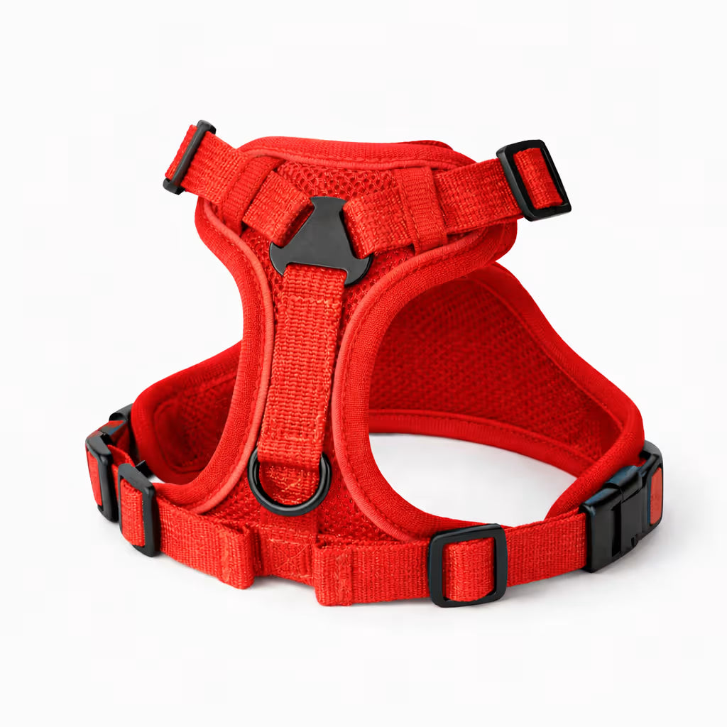 Red mesh harness with adjustable straps and front D-ring for small dogs