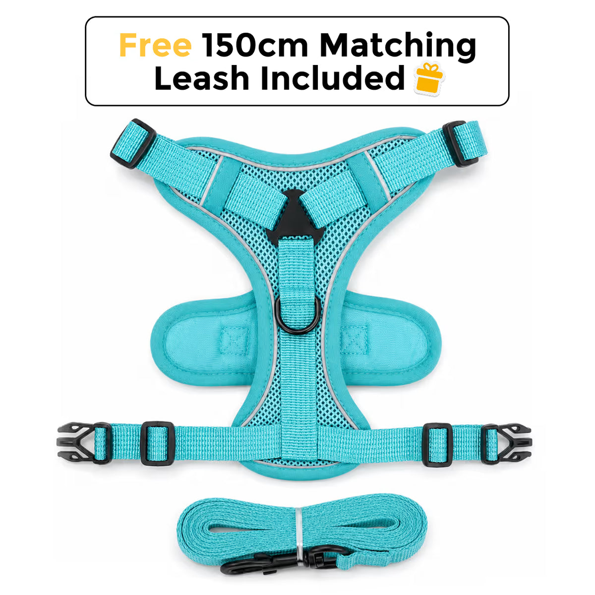 Teal SecureFit mesh harness with adjustable straps and front D-ring, shown with the free 150cm matching leash included