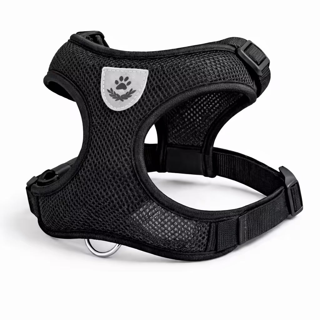 Black mesh vest harness with adjustable straps for small dogs