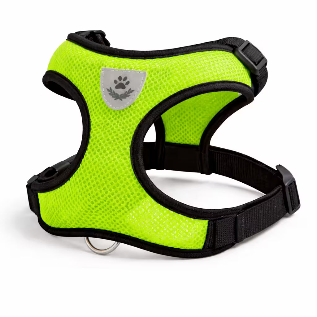 Green mesh vest harness with adjustable straps for small dogs