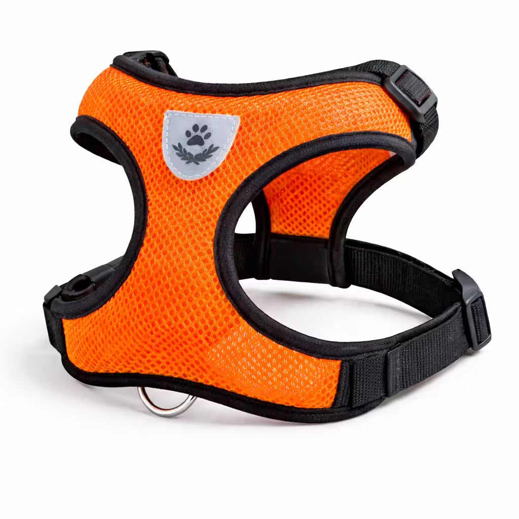 Orange mesh vest harness with adjustable straps for small dogs