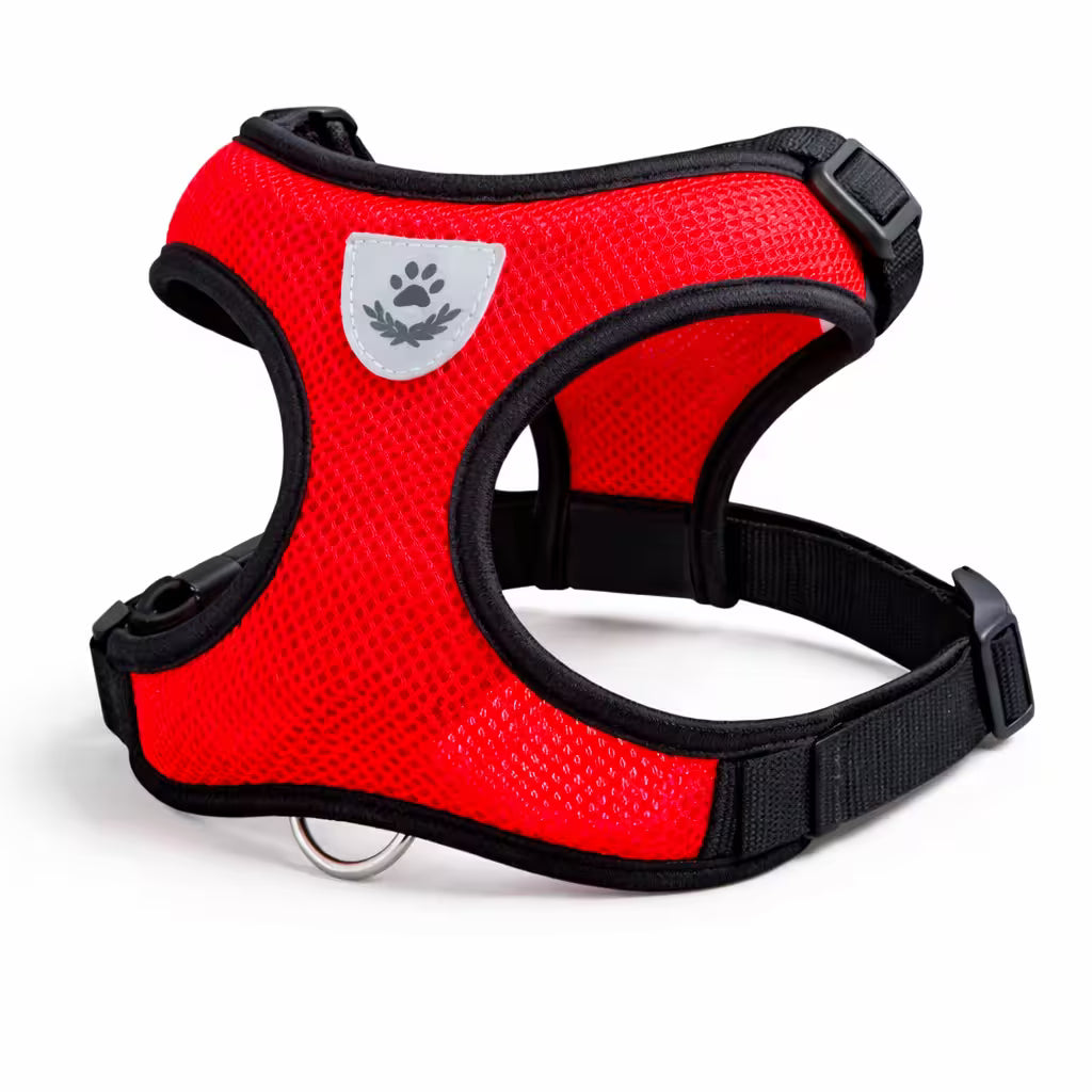 Red mesh vest harness with adjustable straps for small dogs