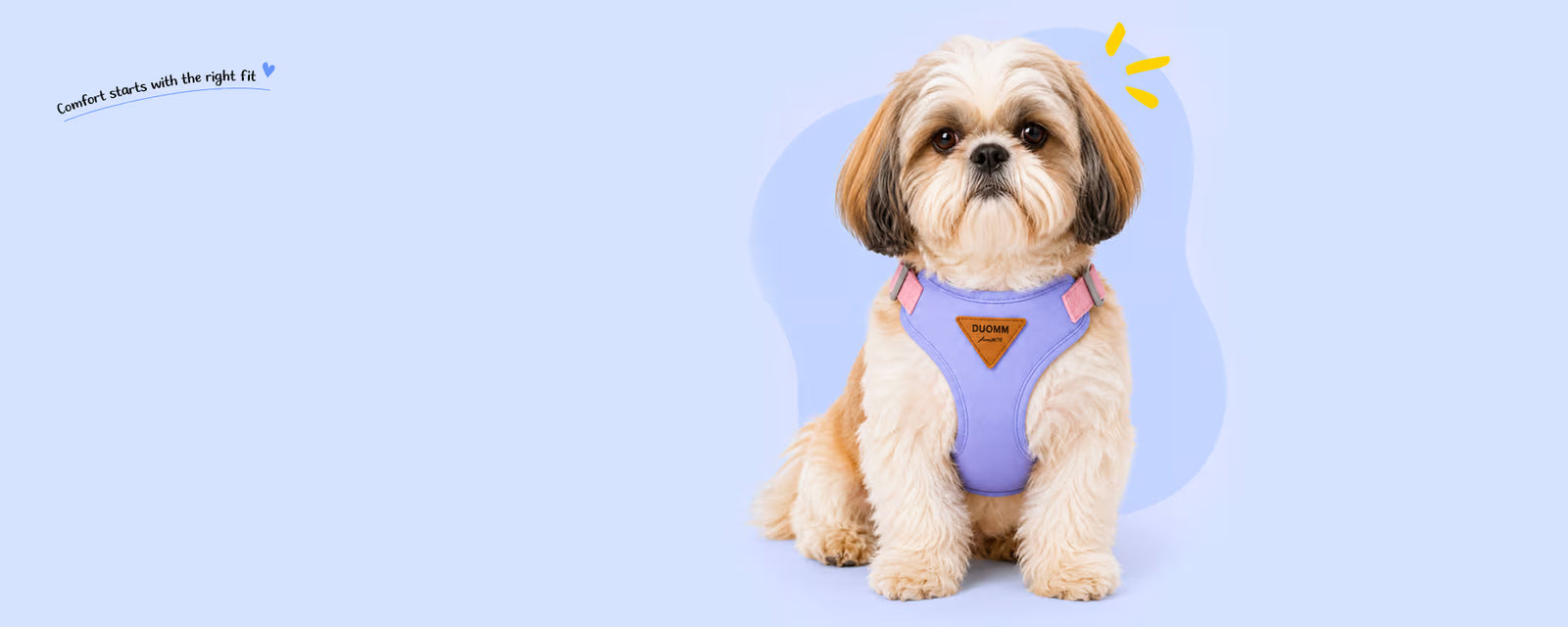 Shih Tzu sitting and wearing a purple vest harness for small dogs on a light blue background
