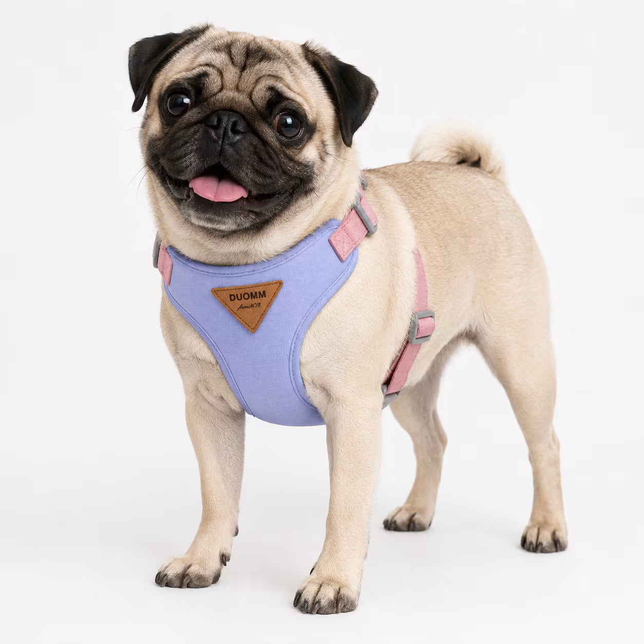 Fawn Pug wearing the SmoothWrap Harness in lilac with pink adjustable side straps in front three-quarter view.