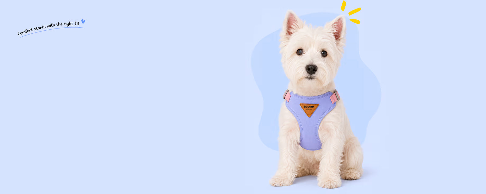 West Highland White Terrier sitting and wearing a purple vest harness for small dogs on a light blue background